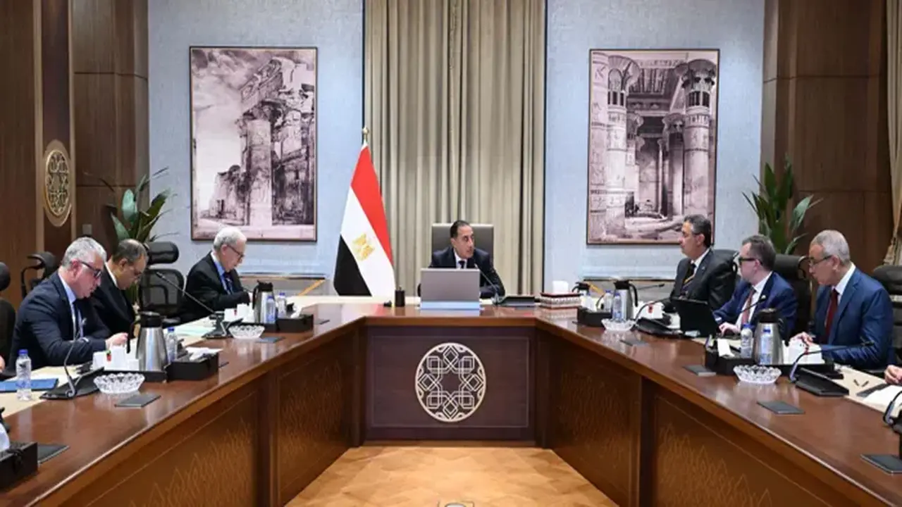 مصر تخطط لإقامة مركز دولي استراتيجي لتخزين وتداول الحبوب والزيوت في أراضيها